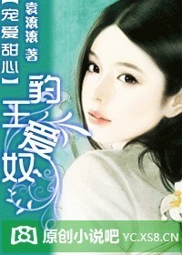 宠姬